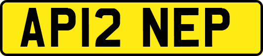 AP12NEP