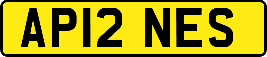 AP12NES