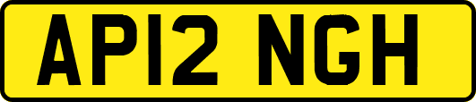 AP12NGH