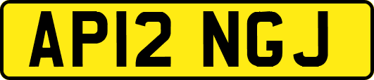 AP12NGJ