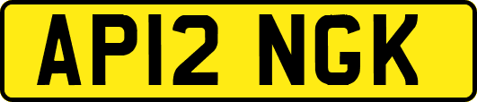 AP12NGK
