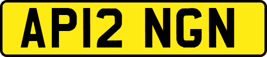 AP12NGN