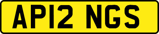 AP12NGS