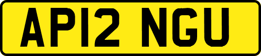 AP12NGU