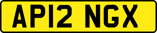 AP12NGX