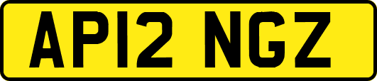 AP12NGZ