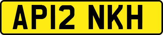 AP12NKH