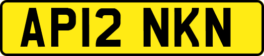 AP12NKN