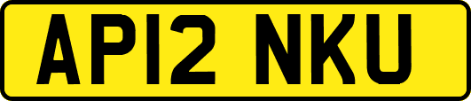 AP12NKU