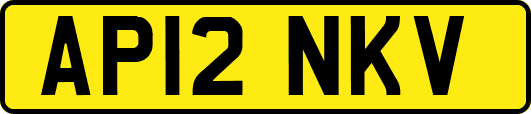 AP12NKV