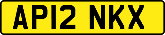 AP12NKX