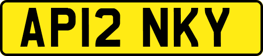 AP12NKY