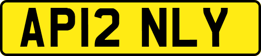 AP12NLY