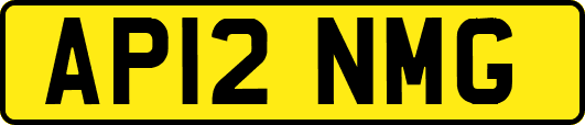 AP12NMG