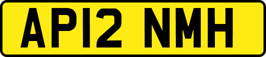 AP12NMH