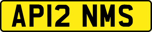 AP12NMS