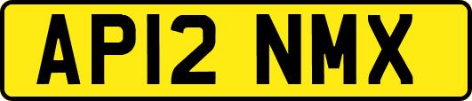 AP12NMX