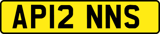 AP12NNS