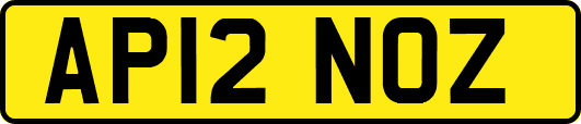 AP12NOZ