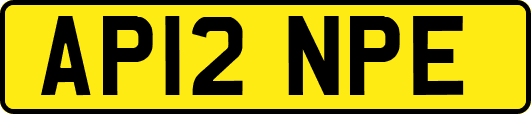 AP12NPE