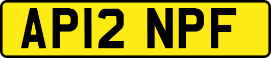 AP12NPF