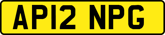 AP12NPG