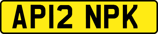 AP12NPK