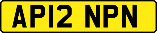 AP12NPN