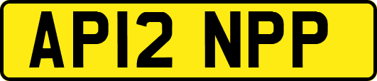 AP12NPP