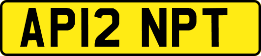 AP12NPT