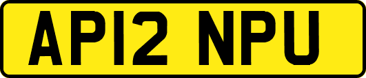 AP12NPU