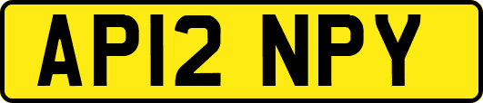 AP12NPY