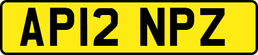 AP12NPZ