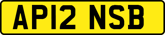 AP12NSB