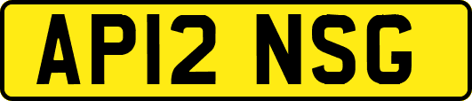 AP12NSG