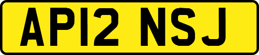AP12NSJ