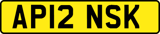 AP12NSK