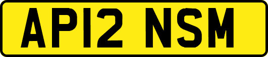 AP12NSM