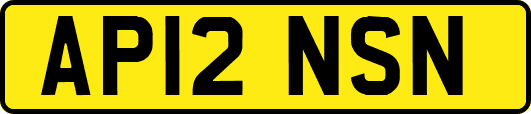 AP12NSN