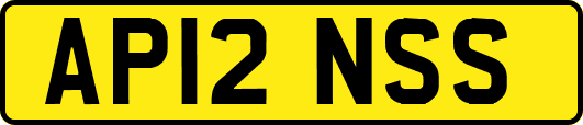 AP12NSS
