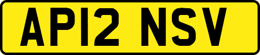 AP12NSV