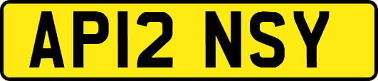 AP12NSY