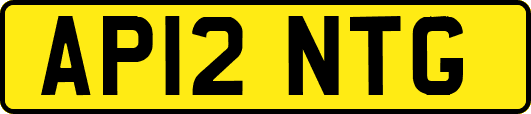 AP12NTG