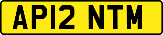 AP12NTM