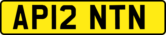 AP12NTN