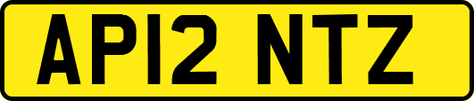 AP12NTZ