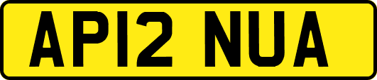 AP12NUA