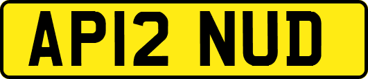 AP12NUD