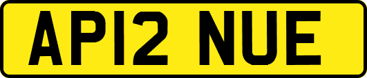 AP12NUE