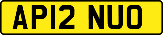 AP12NUO